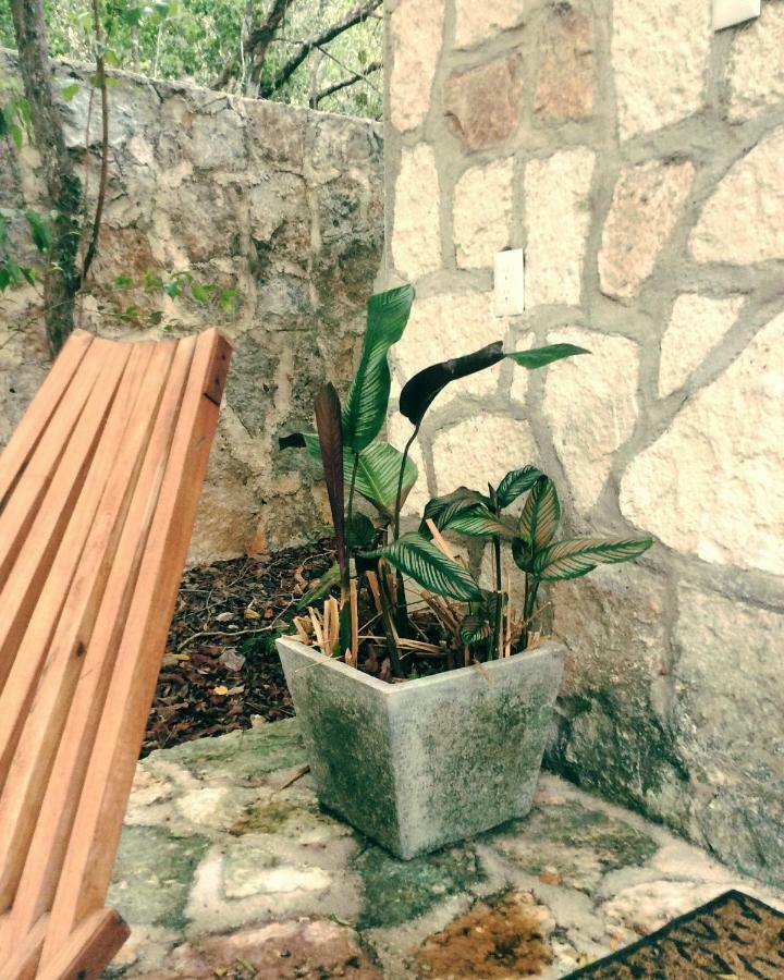 לינה וארוחת בוקר טולום Escarabajo Rojo מראה חיצוני תמונה